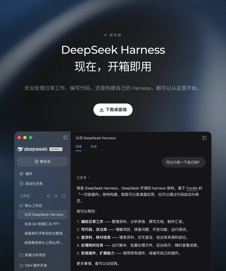 DeepSeek全黑近空垂直俯瞰实景